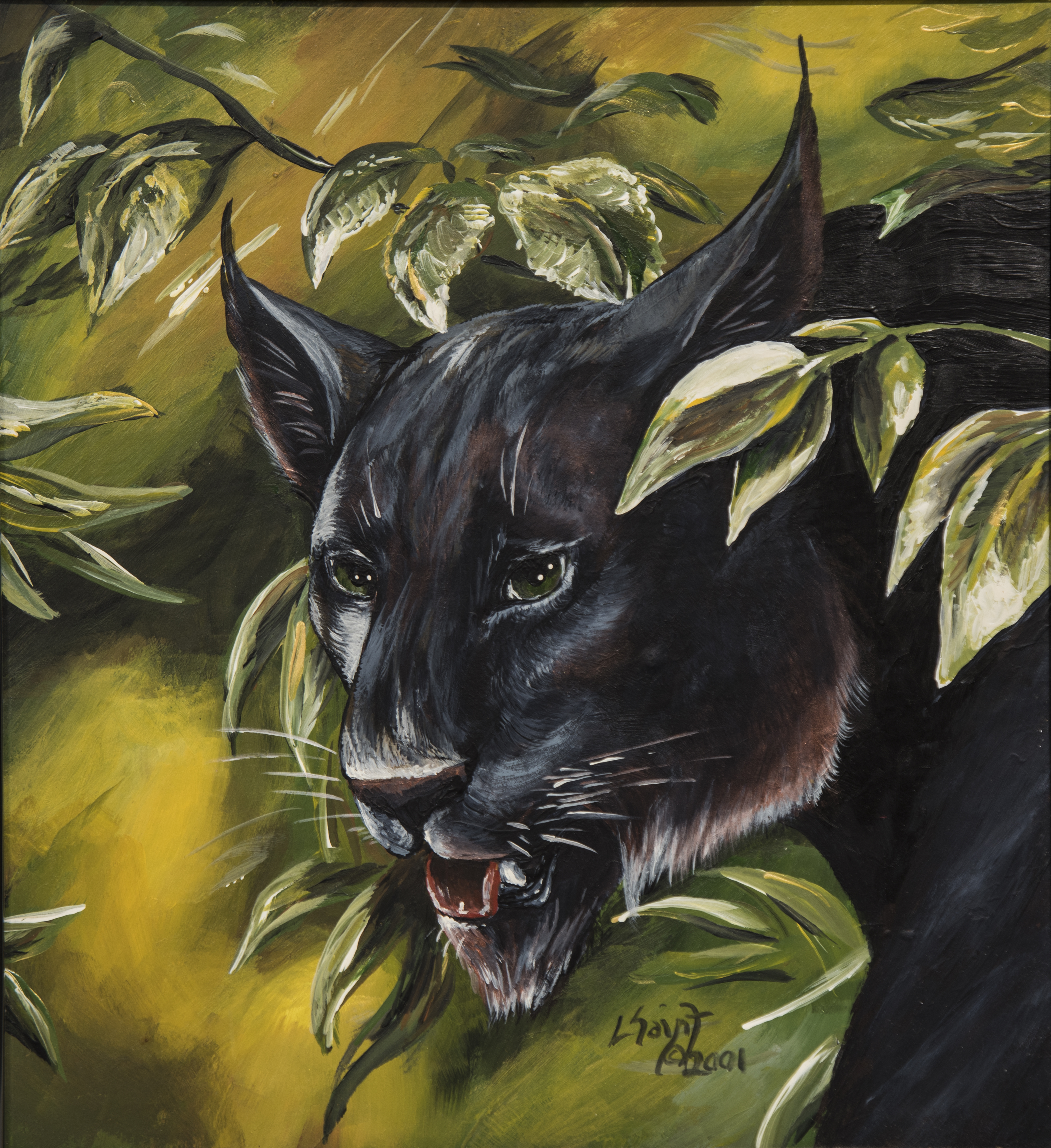 LStRomain-4Panther LStRomain-4Panther