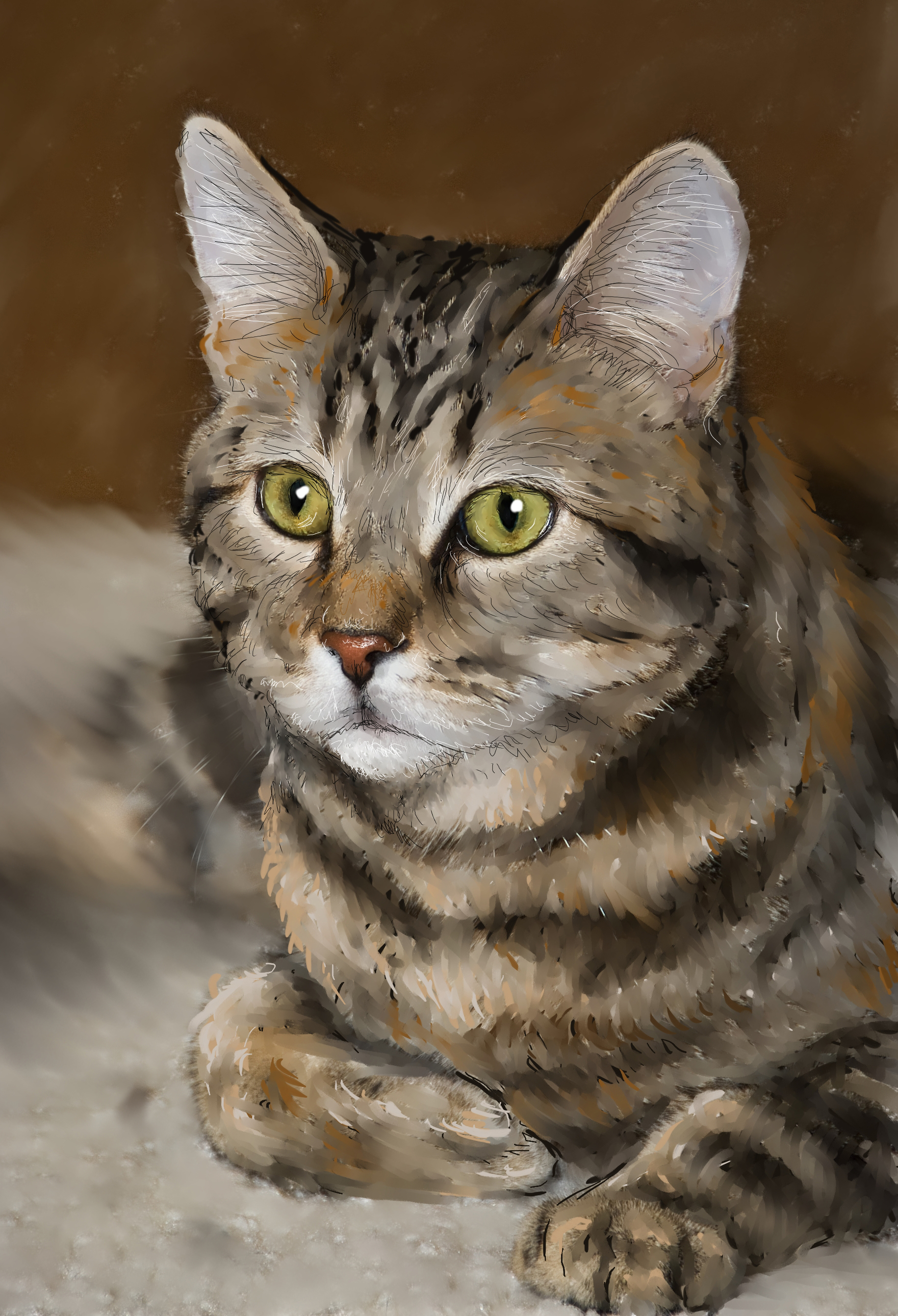 Tashipaint Tashipaint