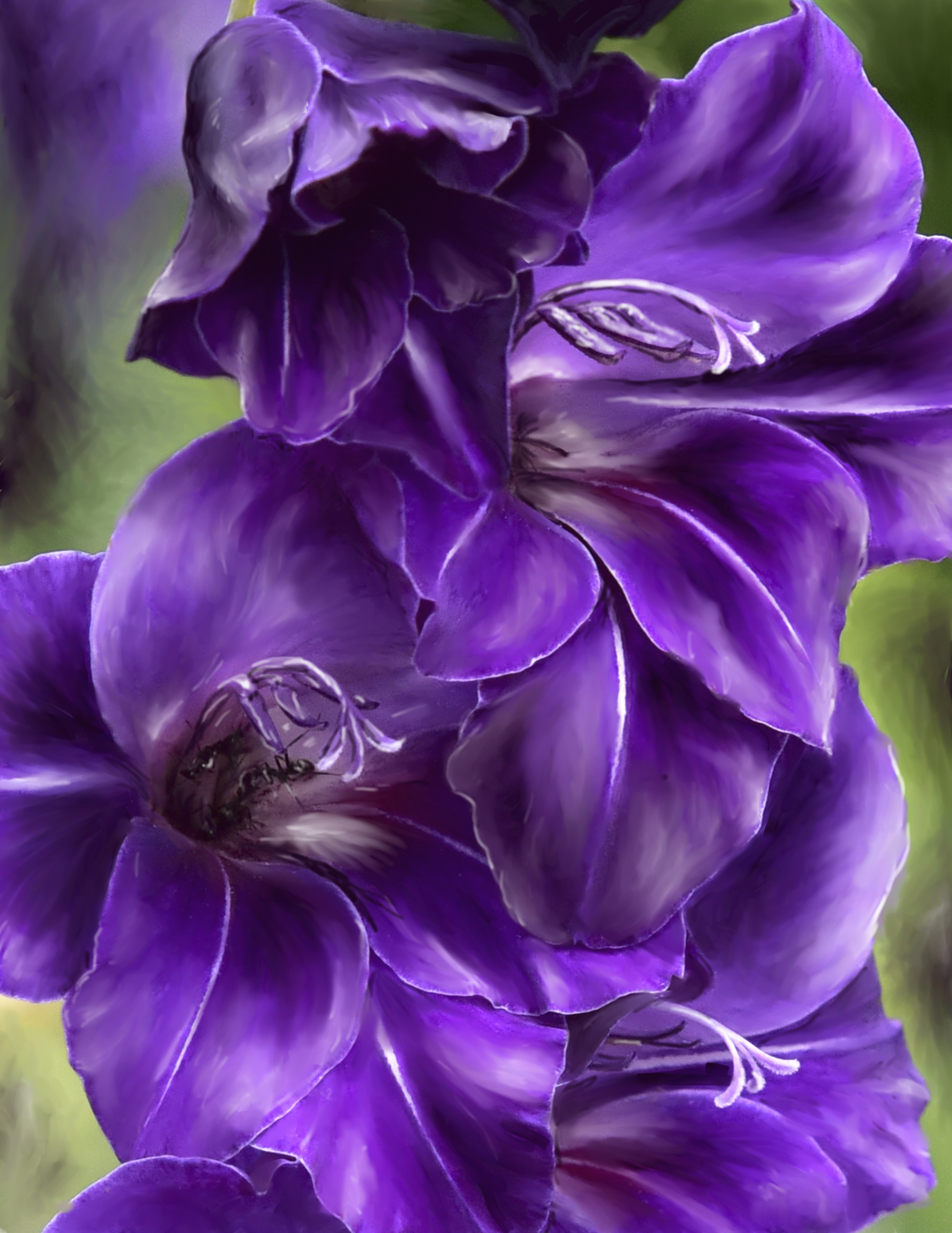 purple flowers purple flowers